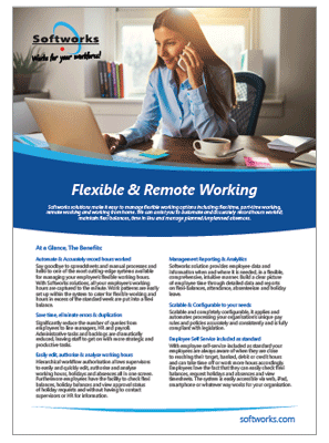 Flexible and Remote Working Software - brochure