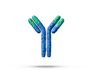 Chemifloc