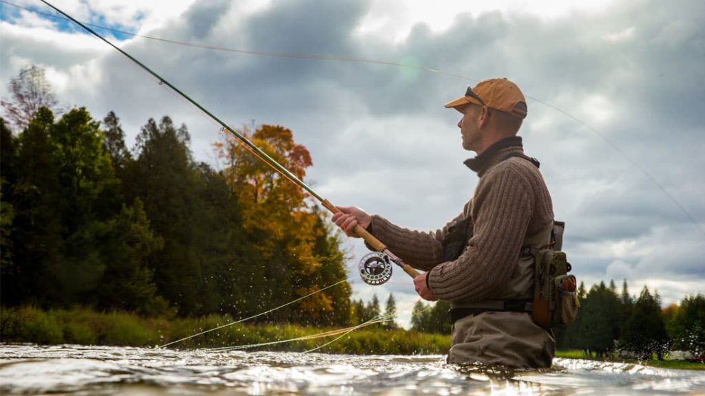 Irish Fisheries image