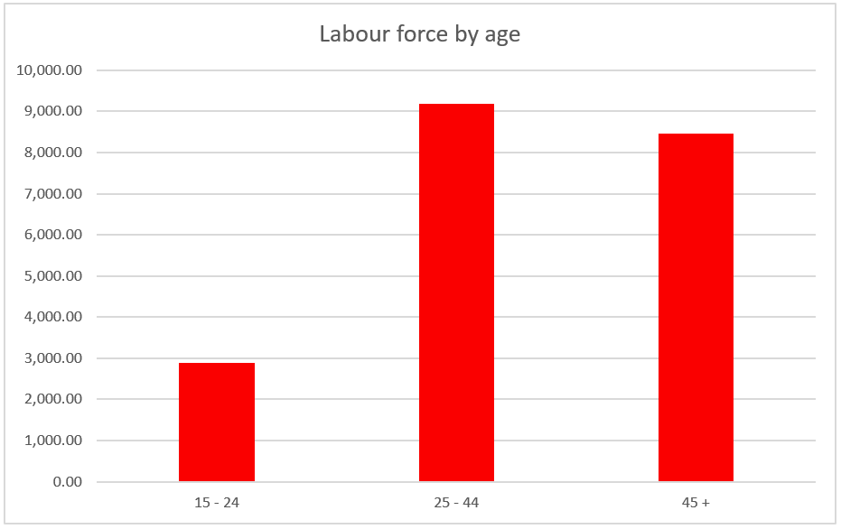 Canada Labour Force by Age 2023 Chart