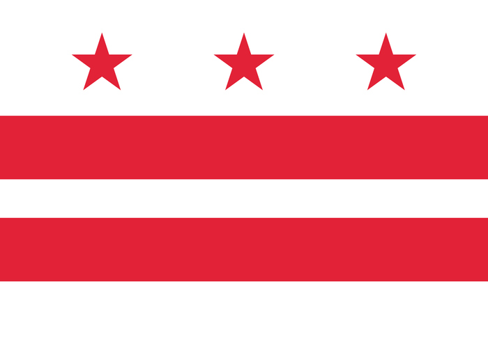 Washington D.C. flag
