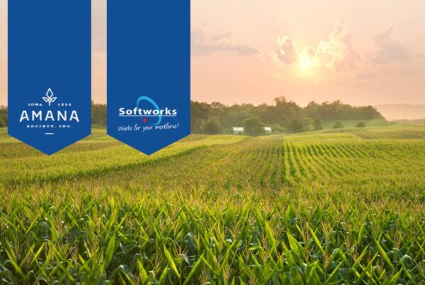Corn field with Amana Society and Softworks logos