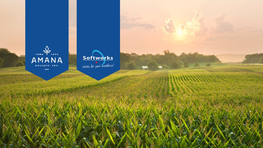 Corn field with Amana Society and Softworks logos