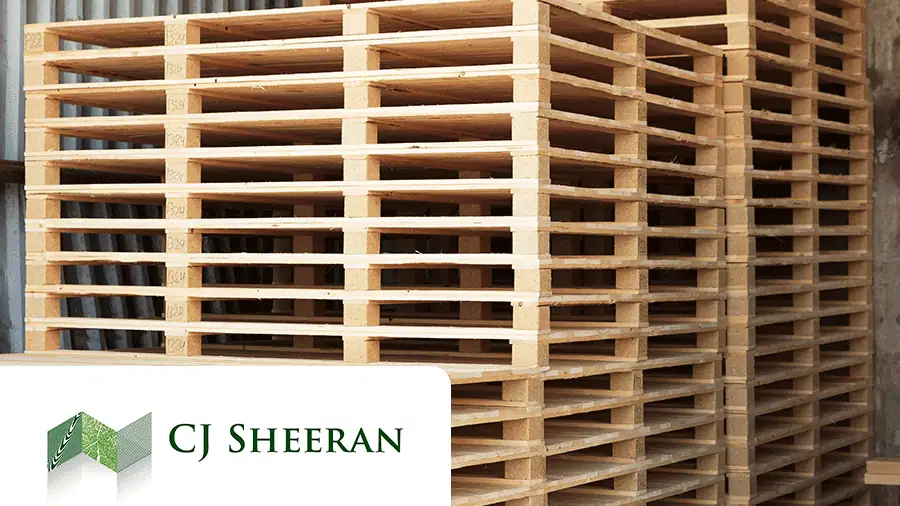 Case Study CJ Sheeran